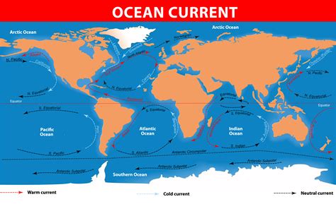 The wind and sun make ocean currents move. At the equator, the sun heats water the strongest. When water heats, water molecules vibrate faster and eventually move farther apart. Hot water moves to the poles. From the equator, hot water pushes outward to the north and south pole.